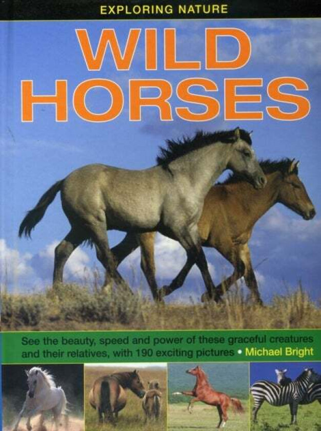 Exploring Nature: Wild Horses av Bright Michael