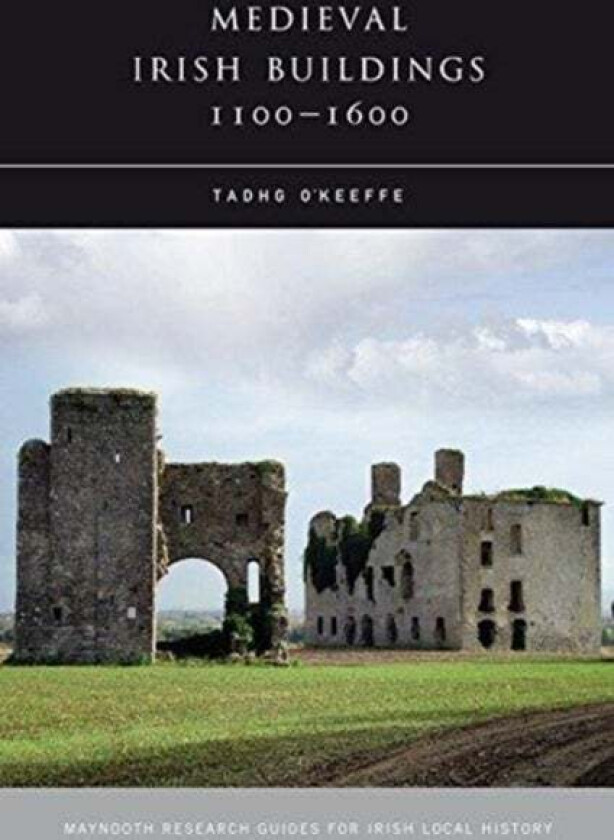 Medieval Irish Buildings, 1100 - 1600 av Tadhg O'Keeffe