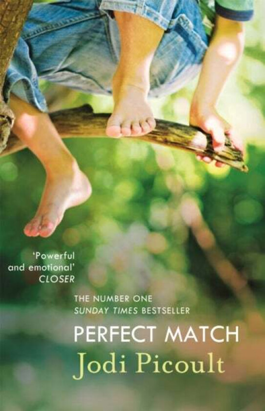 Perfect Match av Jodi Picoult