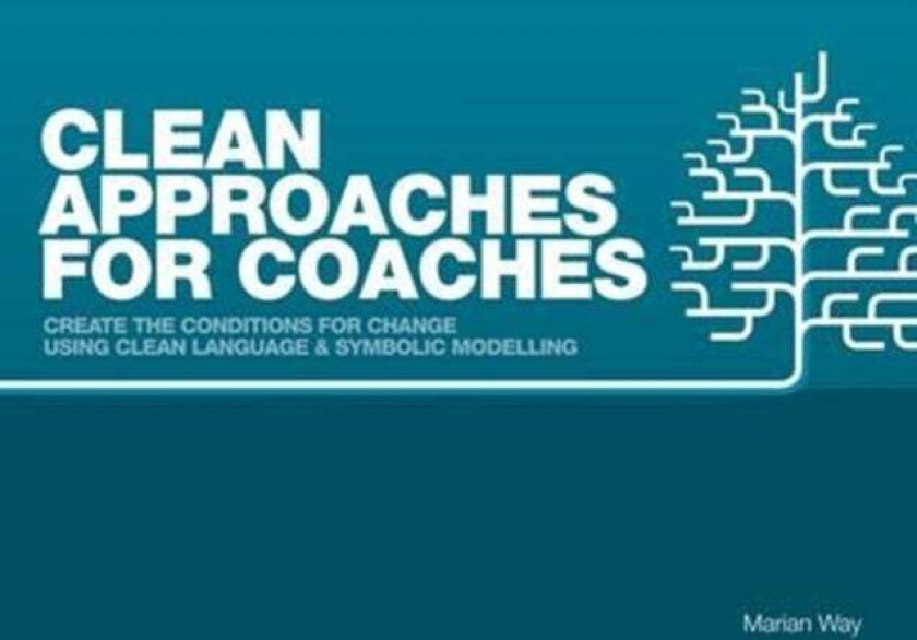 Clean Approaches for Coaches av Marian Way