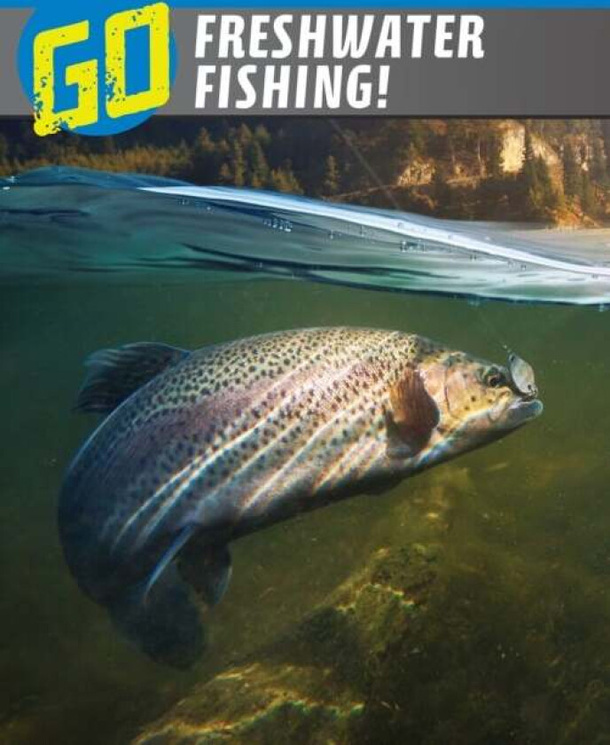Go Freshwater Fishing! av Lisa M. Bolt Simons