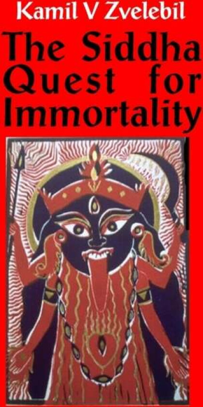 Siddha Quest for Immortality av Professor Kamil V Zvelebil