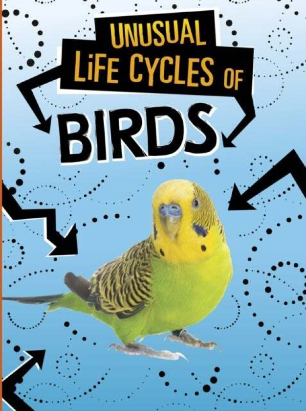 Unusual Life Cycles of Birds av Jaclyn Jaycox