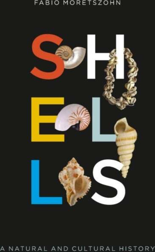 Shells av Fabio Moretzsohn