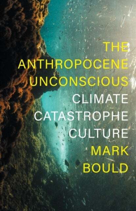 The Anthropocene Unconscious av Mark Bould