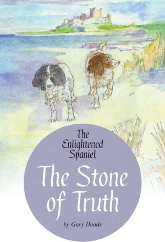 The Stone of Truth av Gary Heads