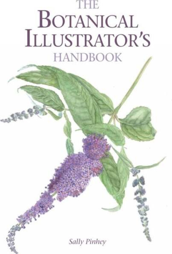 The Botanical Illustrator's Handbook av Sally Pinhey