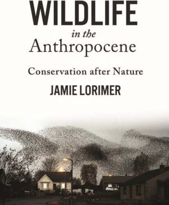 Wildlife in the Anthropocene av Jamie Lorimer