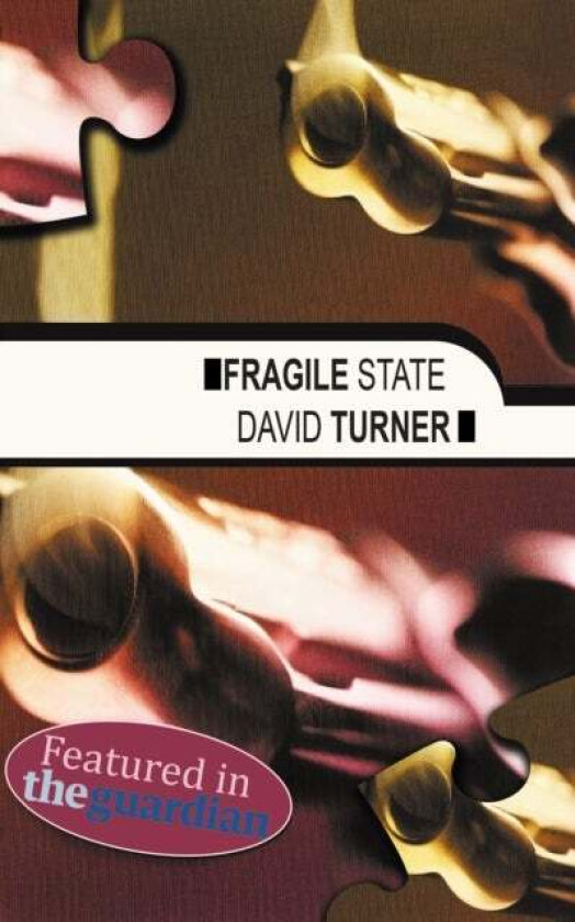 Fragile State av David Turner