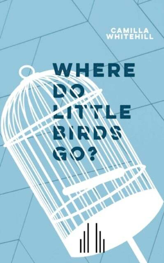 Where Do Little Birds Go? av Camilla Whitehill