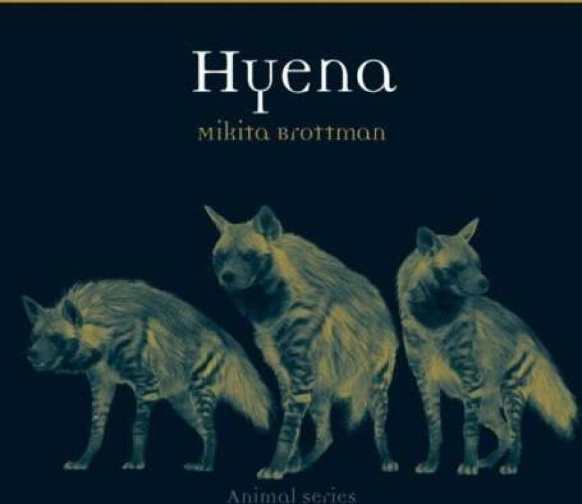 Hyena av Mikita Brottman