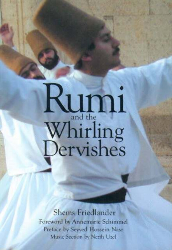 Rumi and the Whirling Dervishes av Shems Friedlander