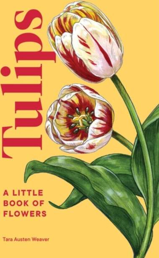 Tulips av Tara Austen Weaver