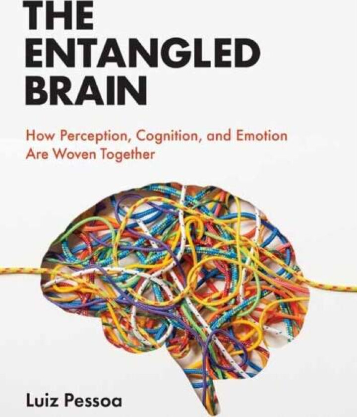 The Entangled Brain av Luiz Pessoa