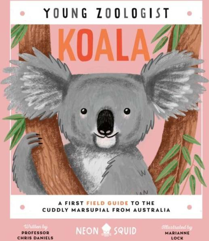 Koala (Young Zoologist) av Chris Daniels, Neon Squid