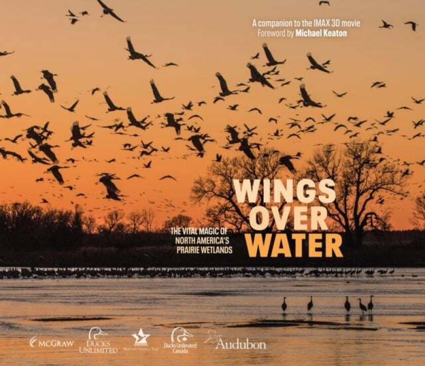 Wings Over Water av Wings for Wetlands LLC
