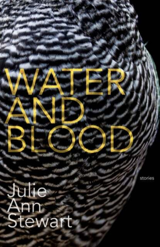 Water and Blood av Julie Stewart