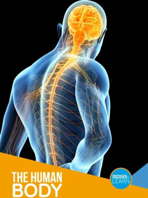 The Human Body av Joanna Brundle