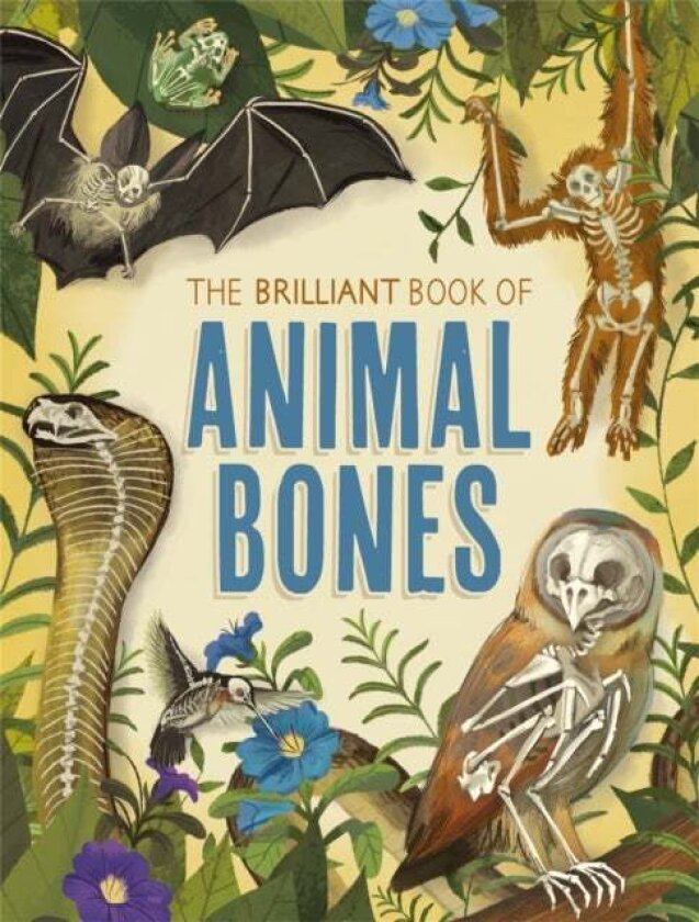 The Brilliant Book of Animal Bones av Anna Claybourne