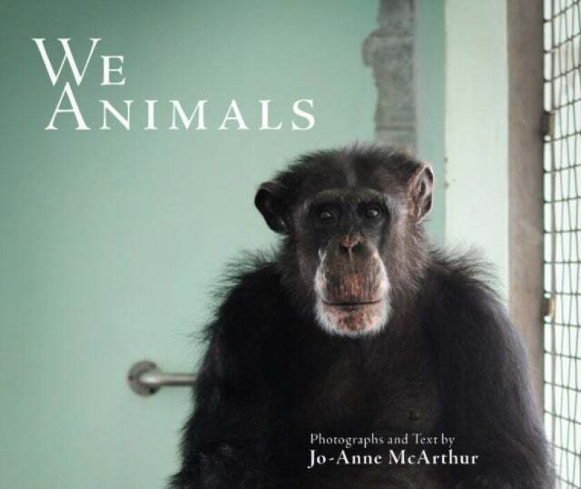 We Animals - Revised Edition av Jo-Anne (Jo-Anne McArthur) McArthur