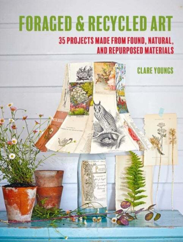 Foraged and Recycled Art av Clare Youngs