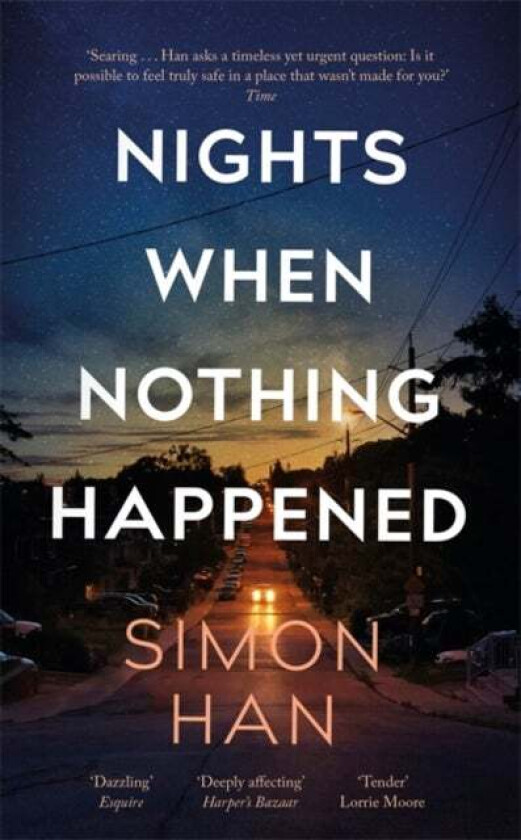 Nights When Nothing Happened av Simon Han