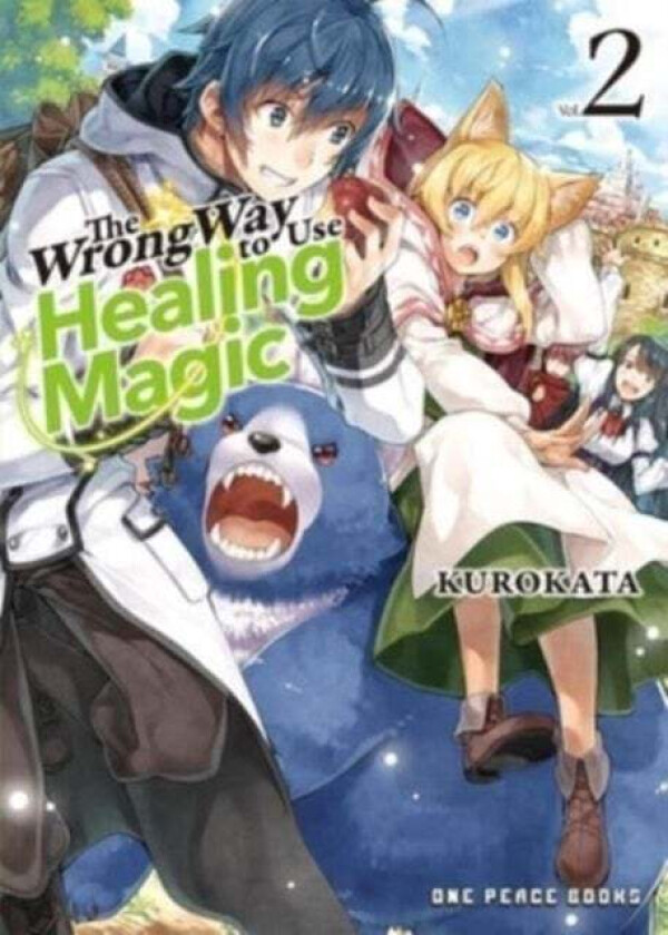 The Wrong Way To Use Healing Magic Volume 2 av Kurokata