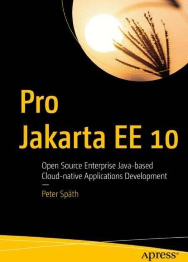 Pro Jakarta EE 10 av Peter Spath