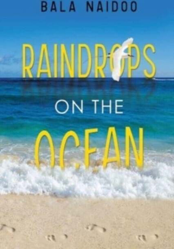 Raindrops on the Ocean av Bala Naidoo