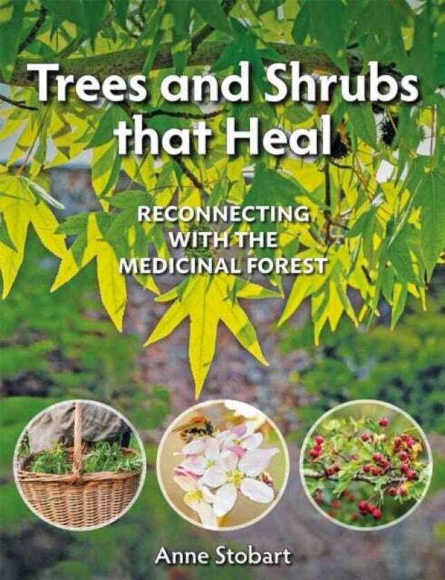 Trees and Shrubs that Heal av Anne Stobart