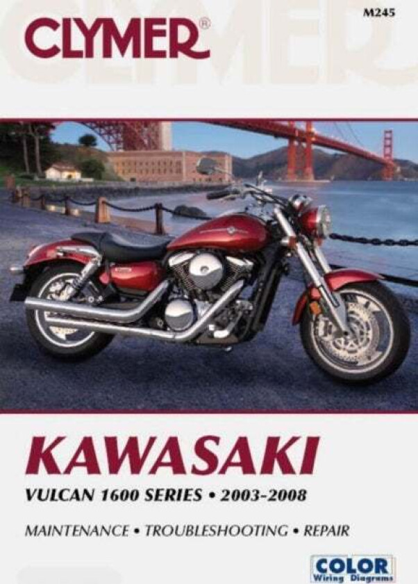 Kawasaki Vulcan 1600 Series Motorcycle (2003-2008) Service Repair Manual av Haynes Publishing