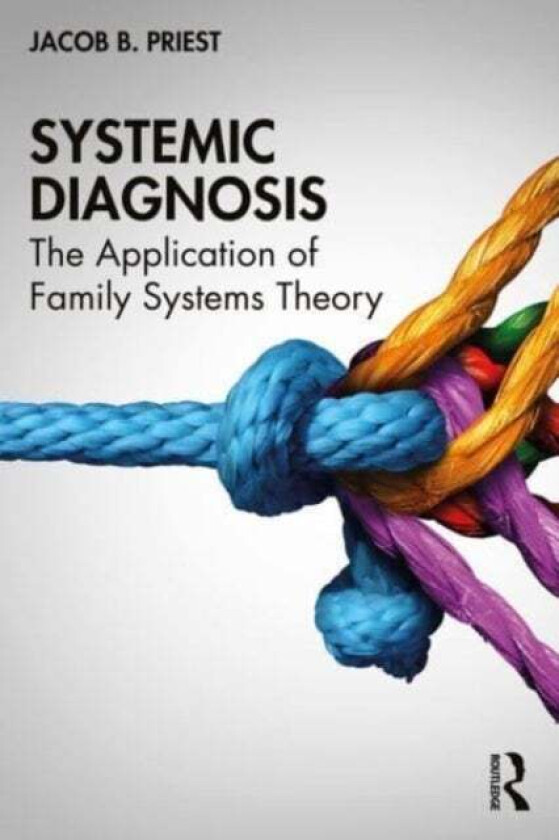 Systemic Diagnosis av Jacob B. Priest