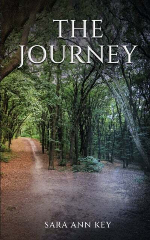 The Journey av Sara Ann Key