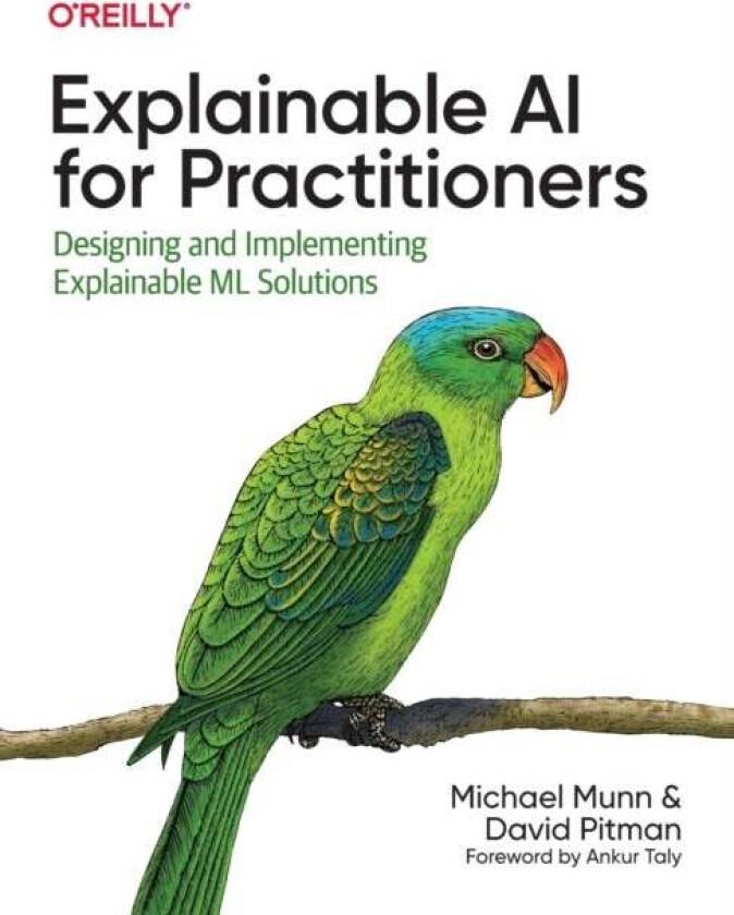 Explainable AI for Practitioners av Michael Munn, David Pitman