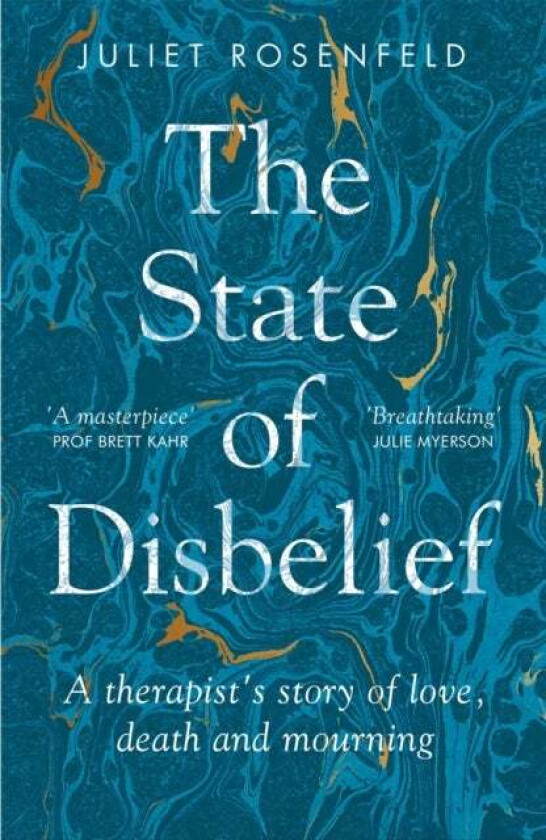 The State of Disbelief av Juliet Rosenfeld