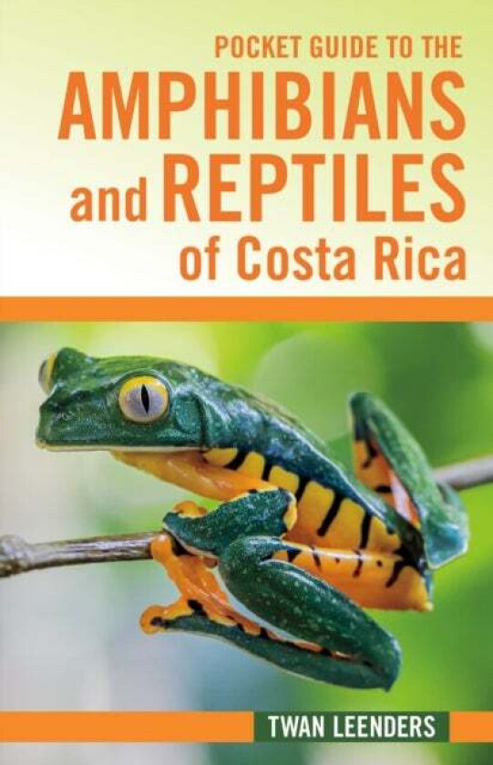 Pocket Guide to the Amphibians and Reptiles of Costa Rica av Twan Leenders