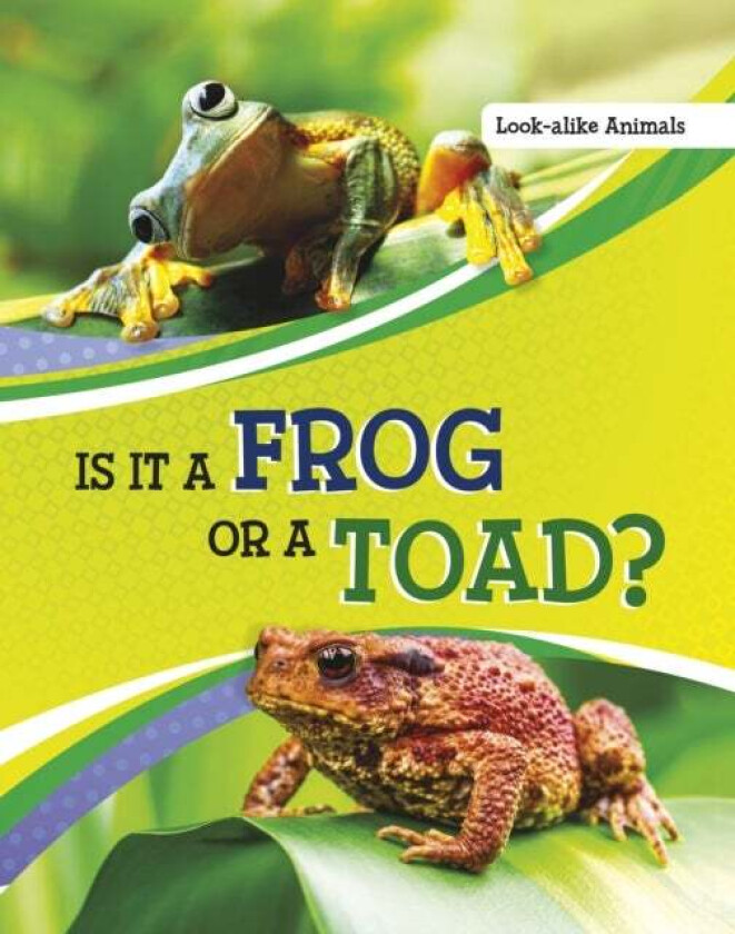 Is It a Frog or a Toad? av Susan B. Katz
