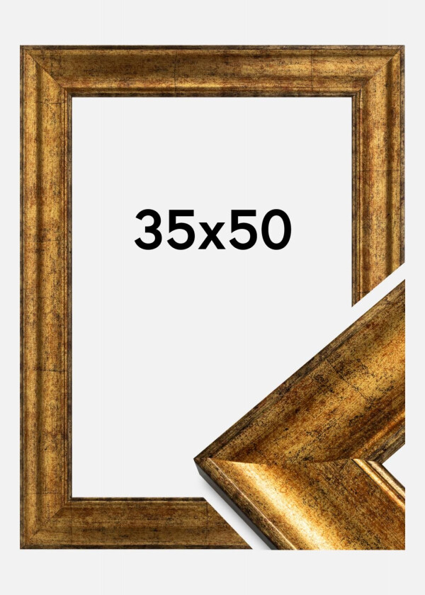 Ramme Saltsjöbaden Akrylglass Gull 35x50 Cm