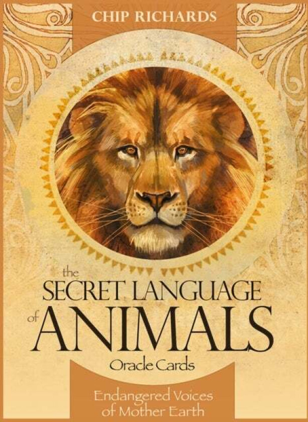 The Secret Language of Animals av Chip (Chip Richards) Richards