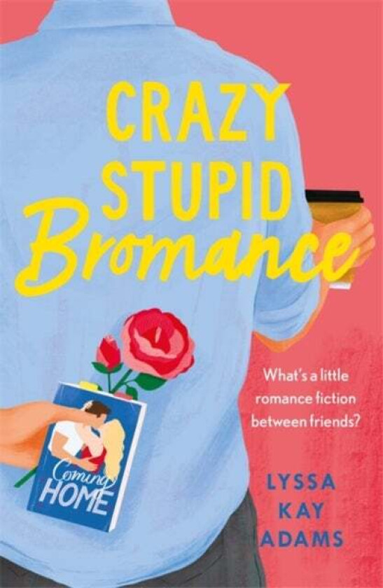 Crazy Stupid Bromance av Lyssa Kay Adams