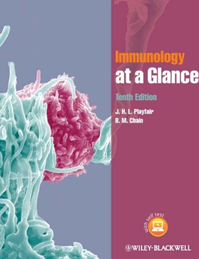 Immunology at a Glance av J. H. L. (University College London) Playfair, B. M. (University College London) Chain
