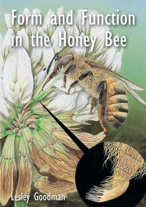 Form and Function in the Honey Bee av Lesley Goodman
