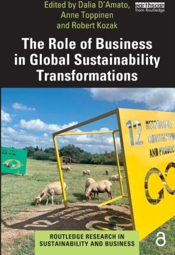 The Role of Business in Global Sustainability Transformations