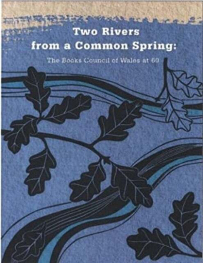 TWO RIVERS FROM A COMMON SPRING THE BOOK av GWEN DAVIES