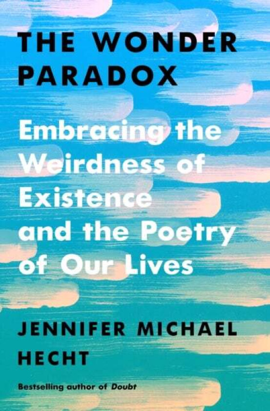 The Wonder Paradox av Jennifer Michael Hecht