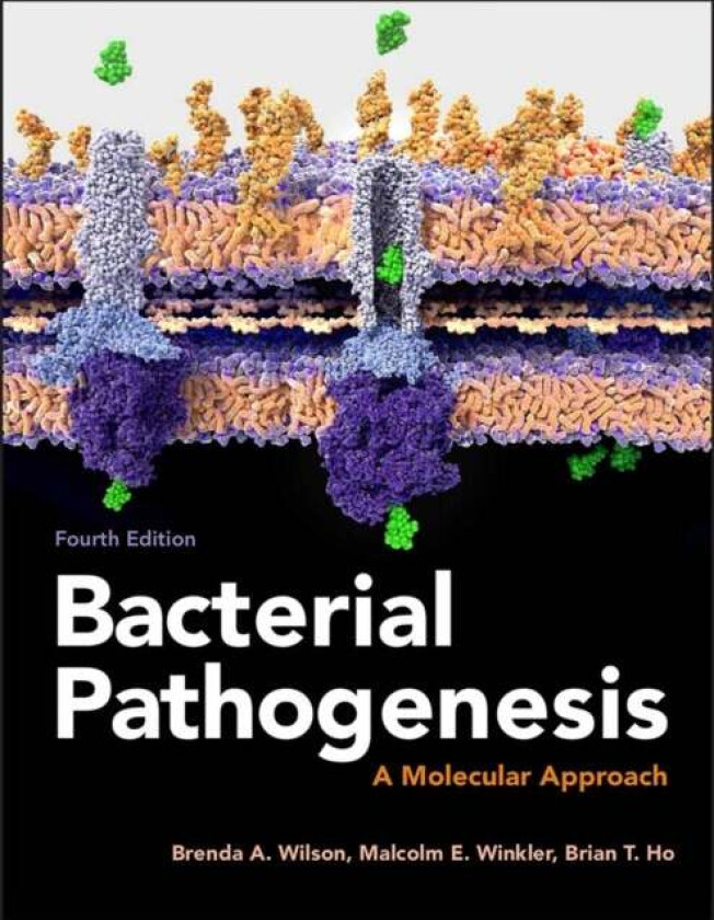 Bacterial Pathogenesis av Brenda A. (University of Illinois at Urbana-Champaign Urbana-Champaign IL) Wilson, Malcolm (Indiana University Bloomington I
