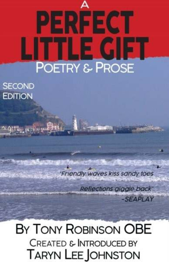 A Perfect Little Gift av Tony Robinson OBE