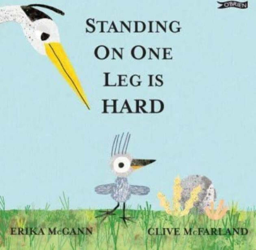Standing on One Leg is Hard av Erika McGann
