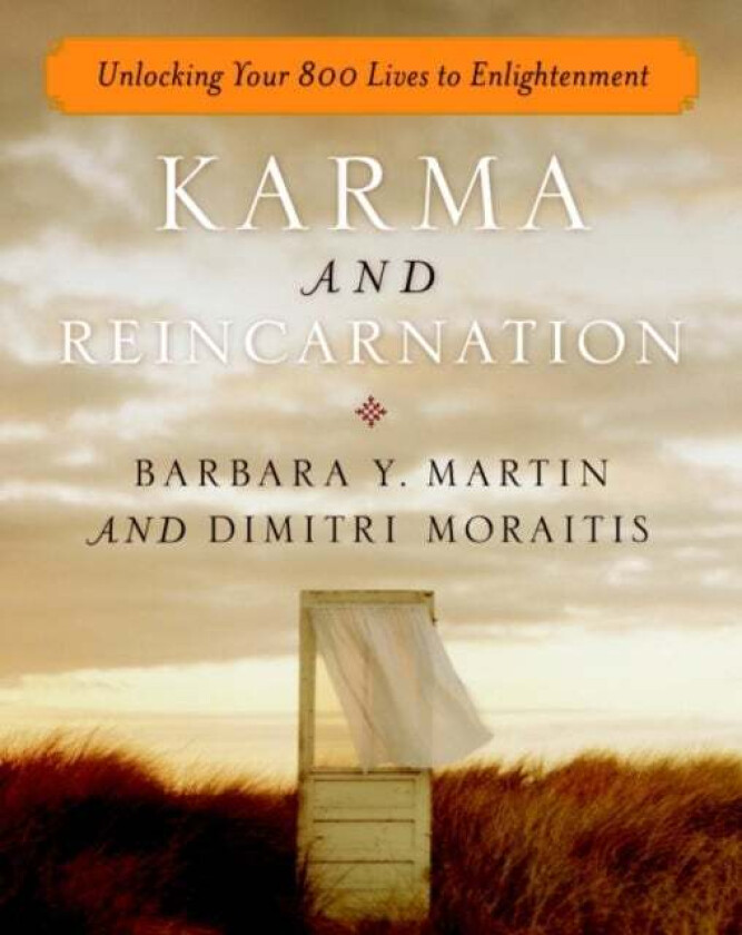 Karma and Reincarnation av Barbara Y. (Barbara Y. Martin) Martin, Dimitri (Dimitri Moraitis) Moraitis