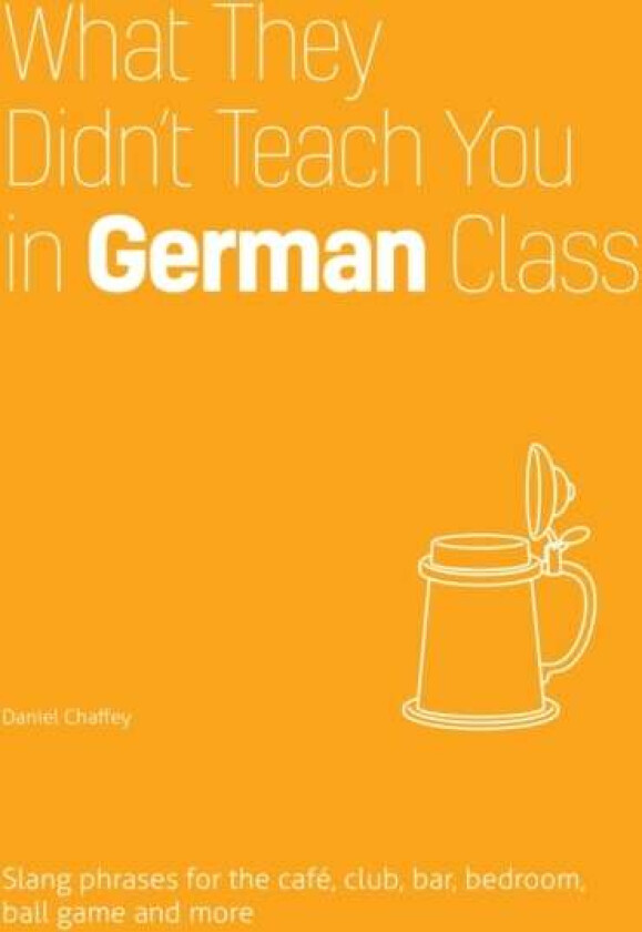 What They Didn't Teach You In German Class av Daniel Chaffey